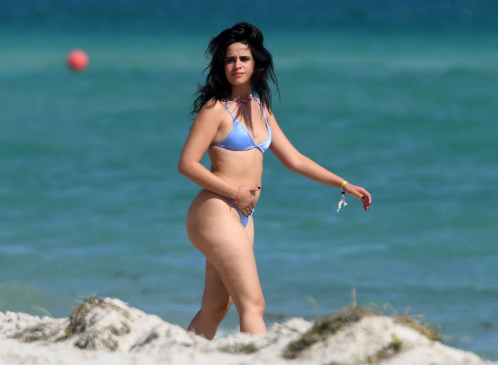 Curvy Brunette Camila Cabello Showing Her Massive Booty in Daring Swimwear gallery, pic 28